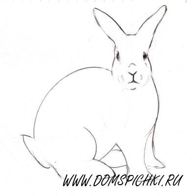 Рисуем кролика карандашом